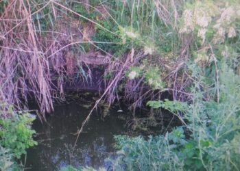 Copil de 5 ani și 7 luni, din comuna Măstăcani, județul Galați, înecat într-un puț de apă