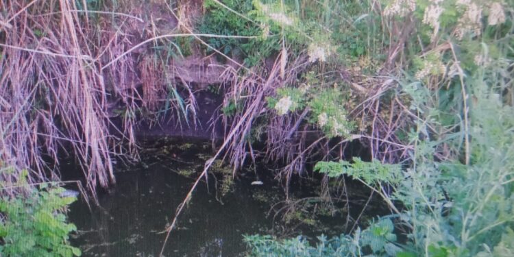 Copil de 5 ani și 7 luni, din comuna Măstăcani, județul Galați, înecat într-un puț de apă