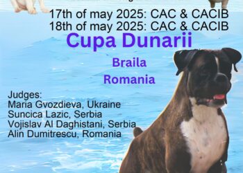 Timp de două zile în stațiunea Lacu Sărat, în organizarea Asociației Chinologice Brăila, are loc Cupa Dunării