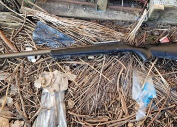 au fost descoperite și indisponibilizate, în vederea continuării cercetărilor, până în prezent, 12 arme lungi și scurte neletale dintre care cinci cu lunetă, din categoria celor supuse autorizării