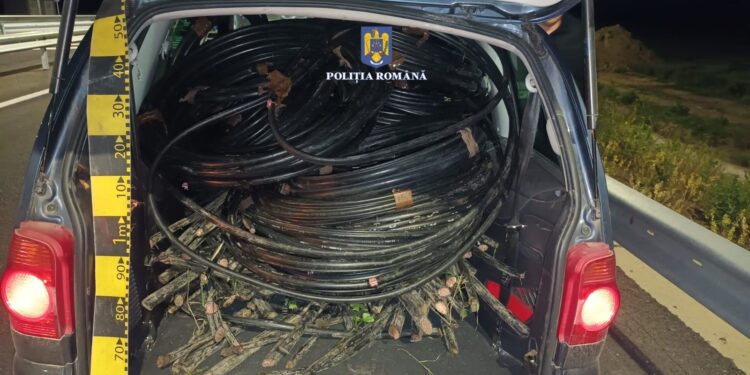 PRINȘI ÎN FLAGRANT DELICT ȘI REȚINUȚI DE POLIȚIȘTI PENTRU FURT CALIFICAT