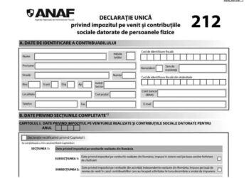 declaatia unica