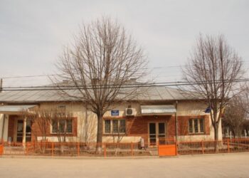 Judecătoria însuratei