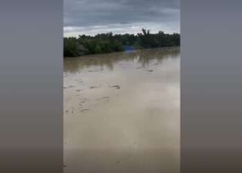 Râul Buzău a depășit cota de atenție la Stația hidrologică Racovița