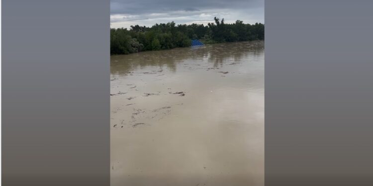 Râul Buzău a depășit cota de atenție la Stația hidrologică Racovița