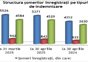 Rata șomajului