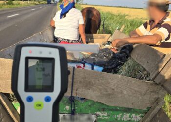 Alcoolemie la carutasi