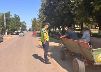 Deținătorii de atelaje hipo în vizorul polițiștilor brăileni
