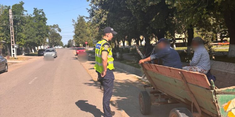 Deținătorii de atelaje hipo în vizorul polițiștilor brăileni