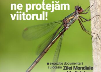 expozitia Protejand natura