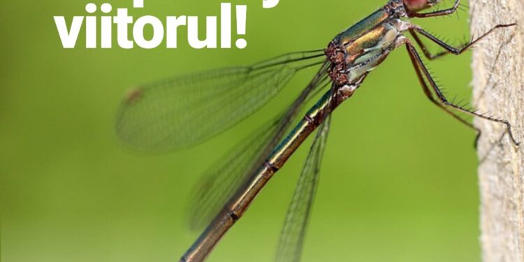 expozitia Protejand natura