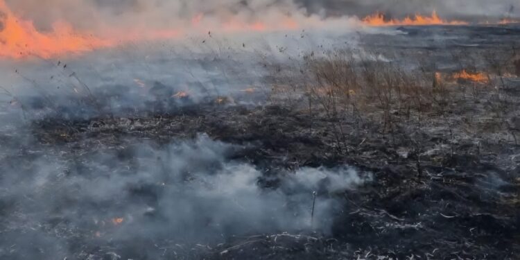 Incendiu în lanul de grâu