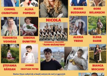 Eveniment umanitar „Împreună pentru Darius”