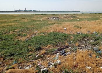 Crescător de animale sancționat de Garda de Mediu