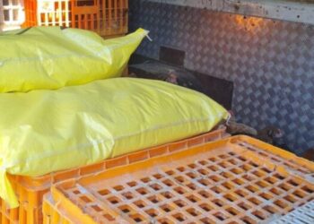 Acțiune pentru verificarea transporturilor de animale vii