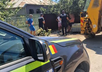 Acțiune de informare a deținătorilor de animale de companie