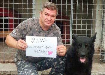 La mulți ani, Gipsy! Eroii poartă și blană