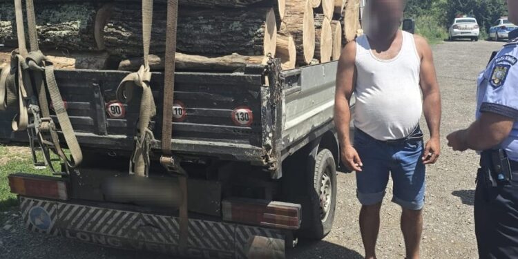 Depistat transportând material lemnos fără documente de proveniență