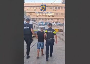Arestat preventiv după ce i-a omorât câinele unei femei