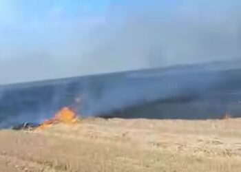 agent economic care nu a prevenit arderea miristii de grau