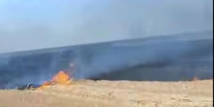 agent economic care nu a prevenit arderea miristii de grau