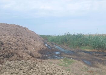 Amendat de Garda de Mediu pentru gunoiul de grajd împrăștiat pe terenul agricol și care a creat un disconfort olfactiv