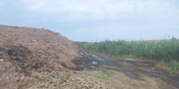 Amendat de Garda de Mediu pentru gunoiul de grajd împrăștiat pe terenul agricol și care a creat un disconfort olfactiv