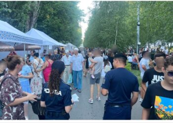 Activități în sistem integrat