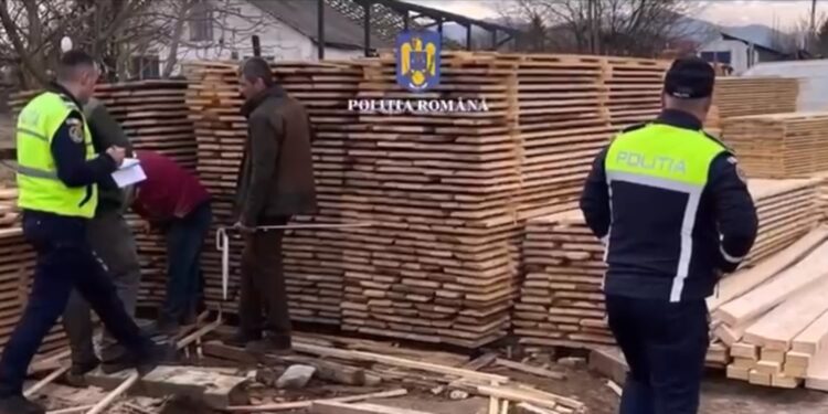 combaterea faptelor ilicite în domeniul silvic