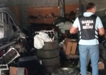 operatori economici care desfășurau activități de reparare și întreținere a autovehiculelor