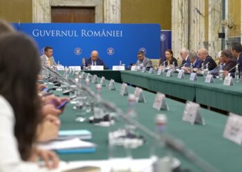 Întâlnirea premierului cu reprezentanții Asociației Comunelor din România