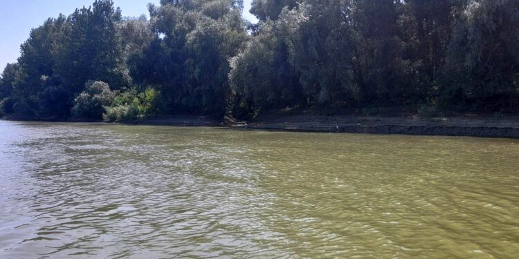 Până pe 3 noiembrie vom avea un nou Plan de management al Parcului Natural Balta Mică a Brăilei