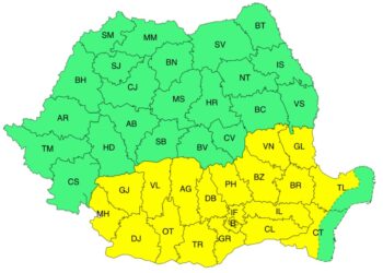 Cod galben de caniculă