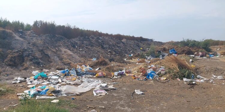 Amenzi aplicate de Garda de Mediu pentru două primării din județul Brăila