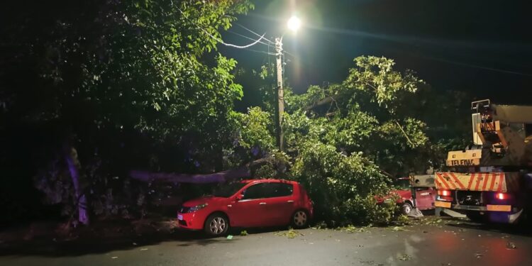 O creangă de la un stejar a s-a rupt și a produs mai multe pagube materiale pe strada Ardealului din municipiul Brăila