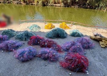 Braconaj piscicol in Delta Dunării