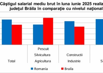 Câştigul salarial mediu brut în luna iunie 2025 realizat în judeţul Brăila
