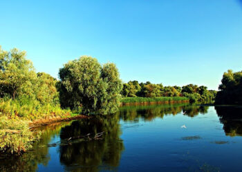 Toamna în Delta Dunării