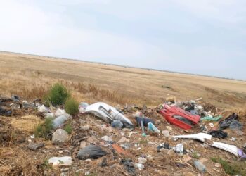 Deșeuri menajere abandonate