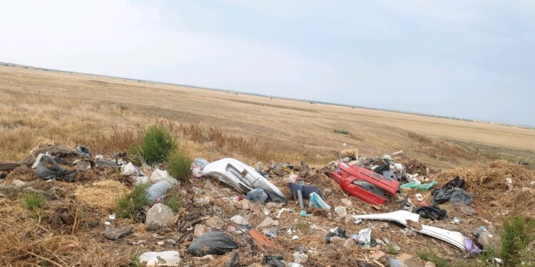 Deșeuri menajere abandonate