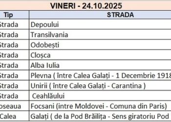 Continuă distribuirea pubelelor negre pentru deșeurile reziduale