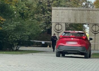 pătruns cu mașina în apropierea Porții Sărutului din Târgu Jiu