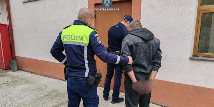 Arestat preventiv pentru uciderea unui pui de pisică