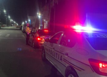 Avea dreptul de a conduce suspendat și a încercat să fugă de polițiști