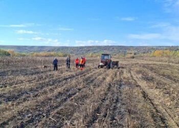 O femeie a ars de vie, într-un incendiu de vegetație într-un lan de porumb, în localitatea Nărtești, din județul Galați
