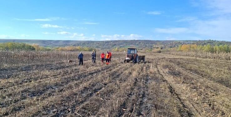 O femeie a ars de vie, într-un incendiu de vegetație într-un lan de porumb, în localitatea Nărtești, din județul Galați