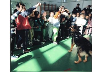 Activități educativ-preventive desfășurate de polițiști din cadrul IPJ Brăila