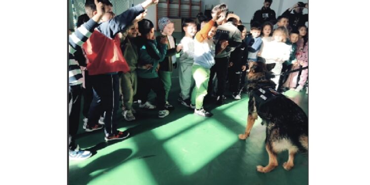 Activități educativ-preventive desfășurate de polițiști din cadrul IPJ Brăila