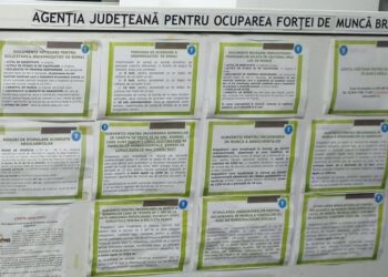 Lista locurilor de muncă vacante din județul Brăila