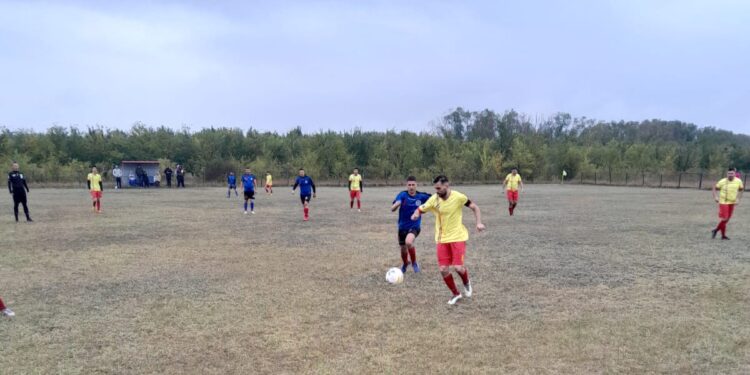 Vointa Făurei Sat - Spicul Zăvoaia